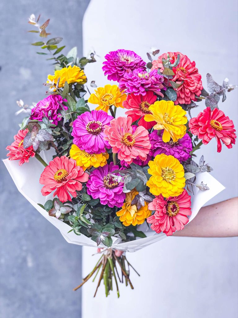 Zinnias Flowers Bouquet for delivery