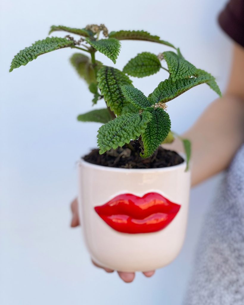 Flower decoration ideas for home