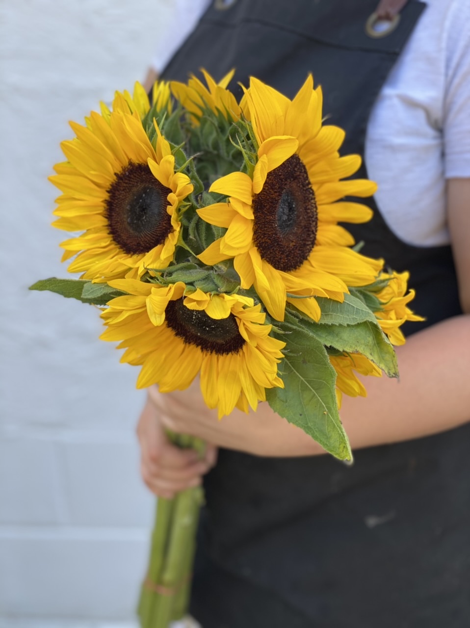 Sunflowers - Image 3