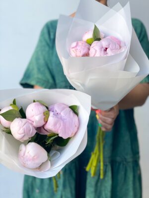 Poco Peonies for delivery