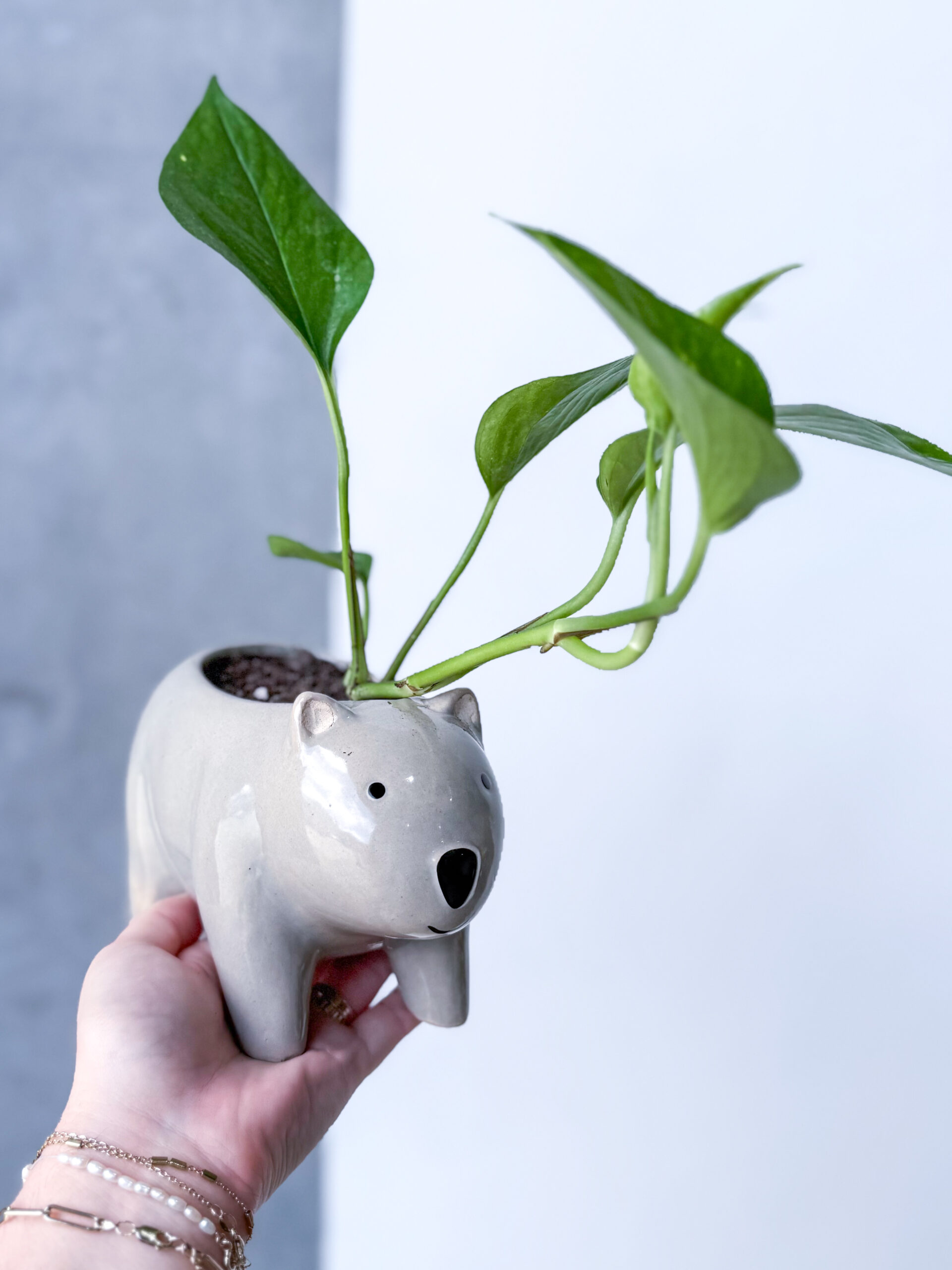 Animal Friends - Image 8