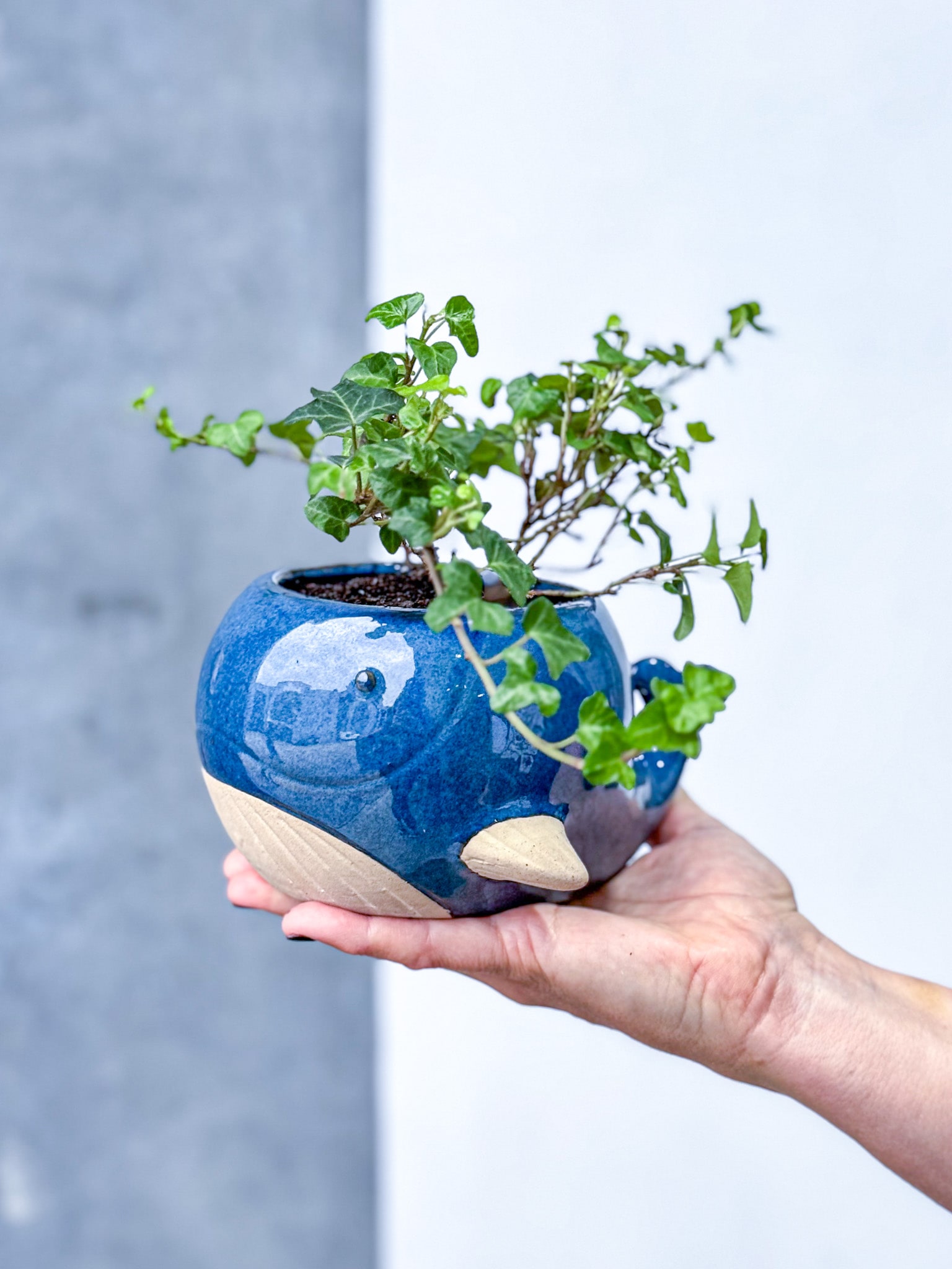 Animal Friends - Image 2